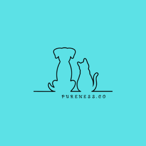 有限会社PURENESS（ピュアネス）